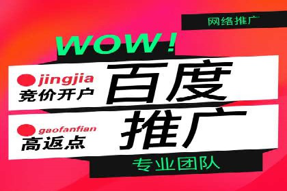 SEM竞价代运营公司成功案例分析